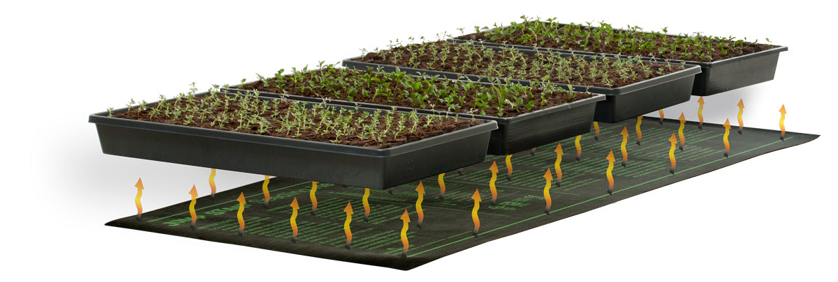 Seeding Heat Mat